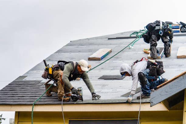 Professional Gutter Installation technician working in Greenbank, WA